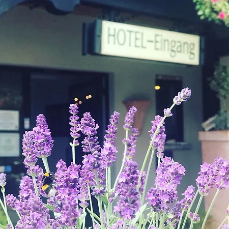 Hotel Hotel-restaurant Zur Krone