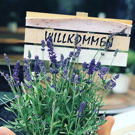 Hotel-restaurant Zur Krone 3* Löhnberg